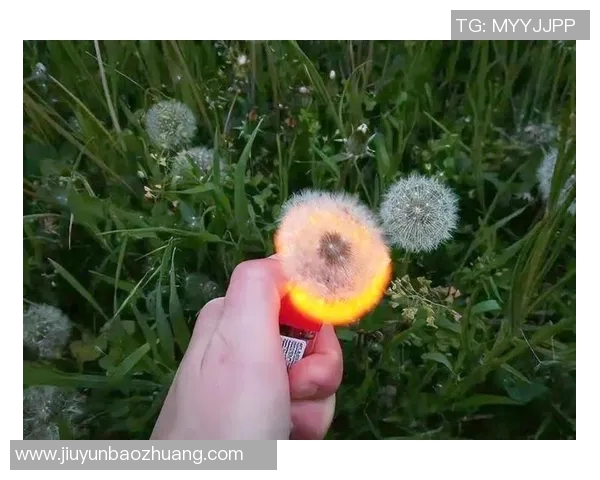 成都羽毛球队耐力对比分析揭示运动员训练与比赛表现的深层关系 成都羽毛球队耐力对比分析揭示运动员训练与比赛表现的深层关系