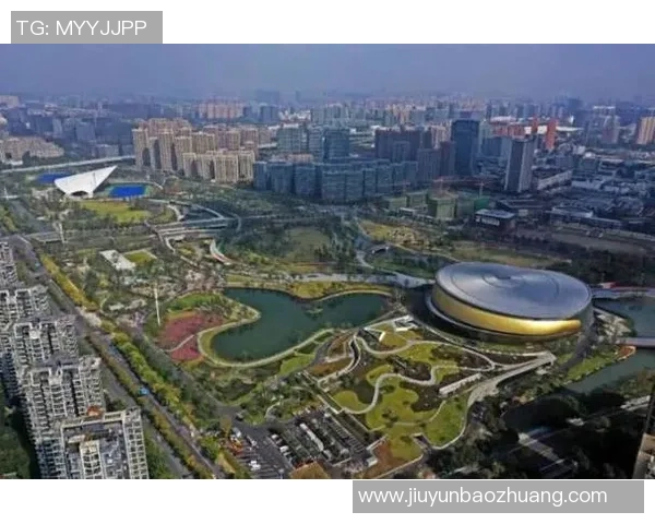 杭州乒乓球队运营策略深度分析与发展前景展望