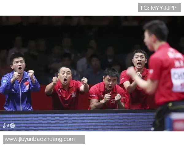 深入探讨西安乒乓球队耐力表现及其影响因素的全面分析