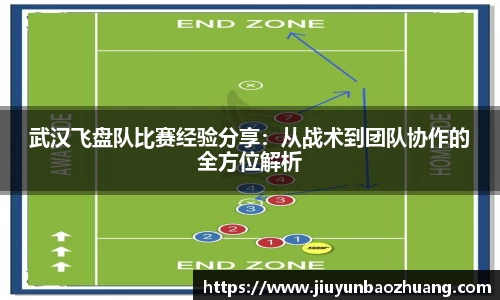 武汉飞盘队比赛经验分享：从战术到团队协作的全方位解析